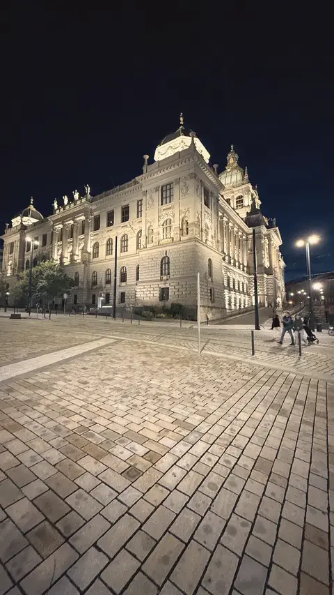 10/10 夜裡的國家博物館側面，燈全亮了。