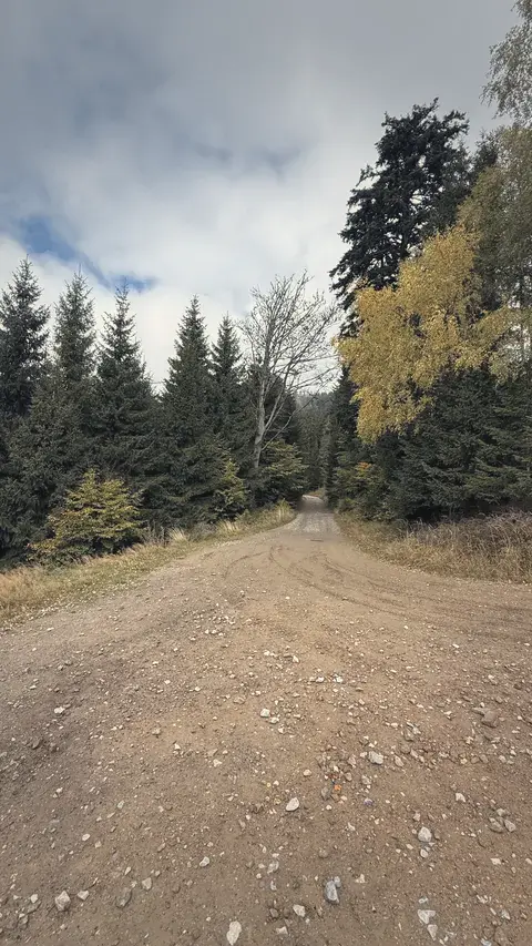 碎石路一路往上，盡頭還有一點霧。