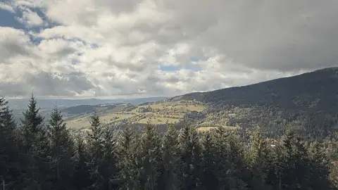 山坡、樹林、遠方的村子，一層一層。