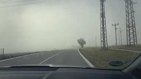 低地又起霧了，高壓電塔只剩輪廓。