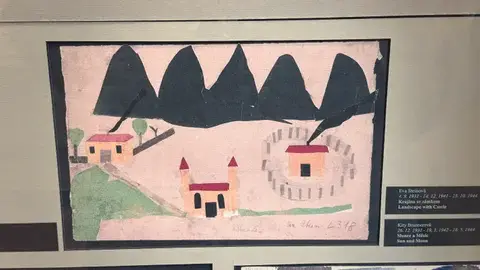 黑色的山、紅屋頂的房子：一個孩子畫的風景。